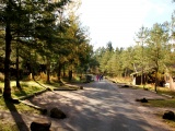 Tn IMG 1656